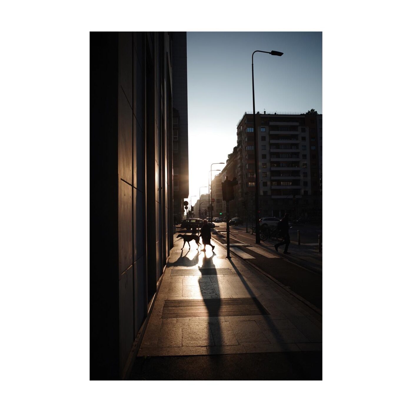 Composition No. 37
